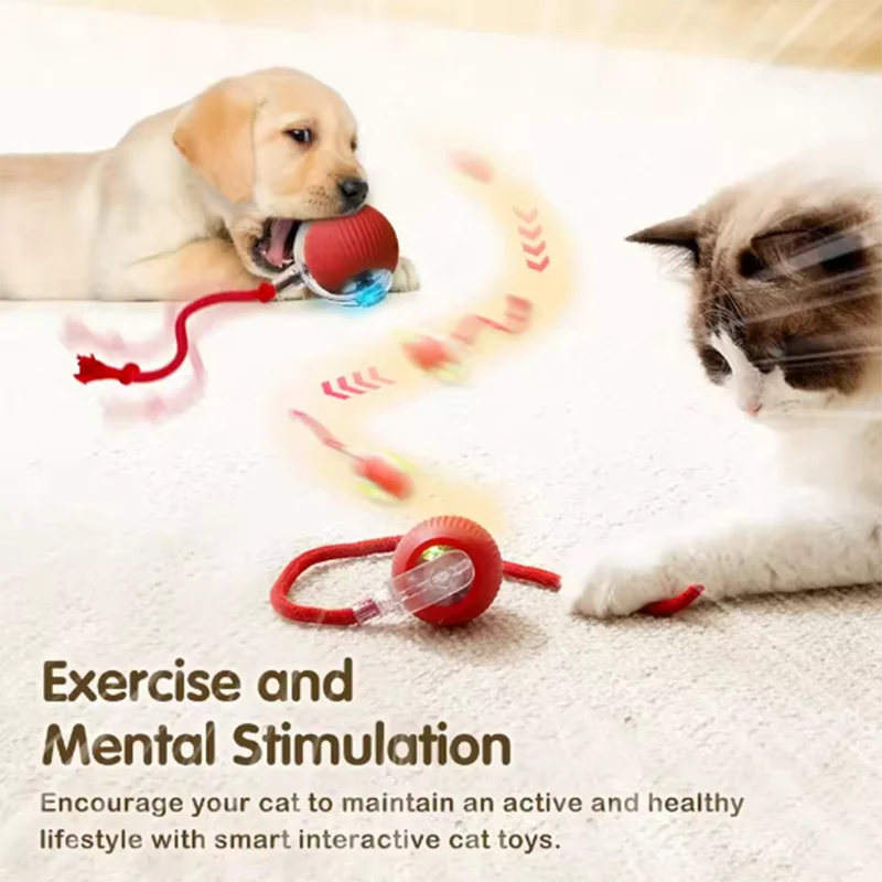 cat ball - Intelligent and interactive (obstacle avoidance)